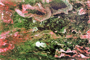 AP 44A1